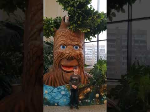 Сказочное дерево живёт