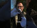 Benchmade Mini Barrage Gold Class 2025 - dzieło sztuki dla kolekcjonerów i pasjonatów EDC! #kolbapl