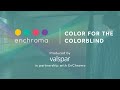 EnChroma & Valspar - Color For The Colorblind