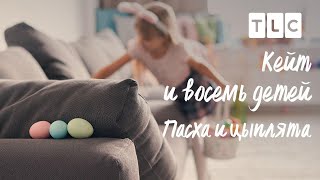 Пасха И Цыплята | Кейт И Восемь Детей | Tlc