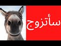 فيديو قنبلة كشف العقد الخاسر الأخ نجيب 