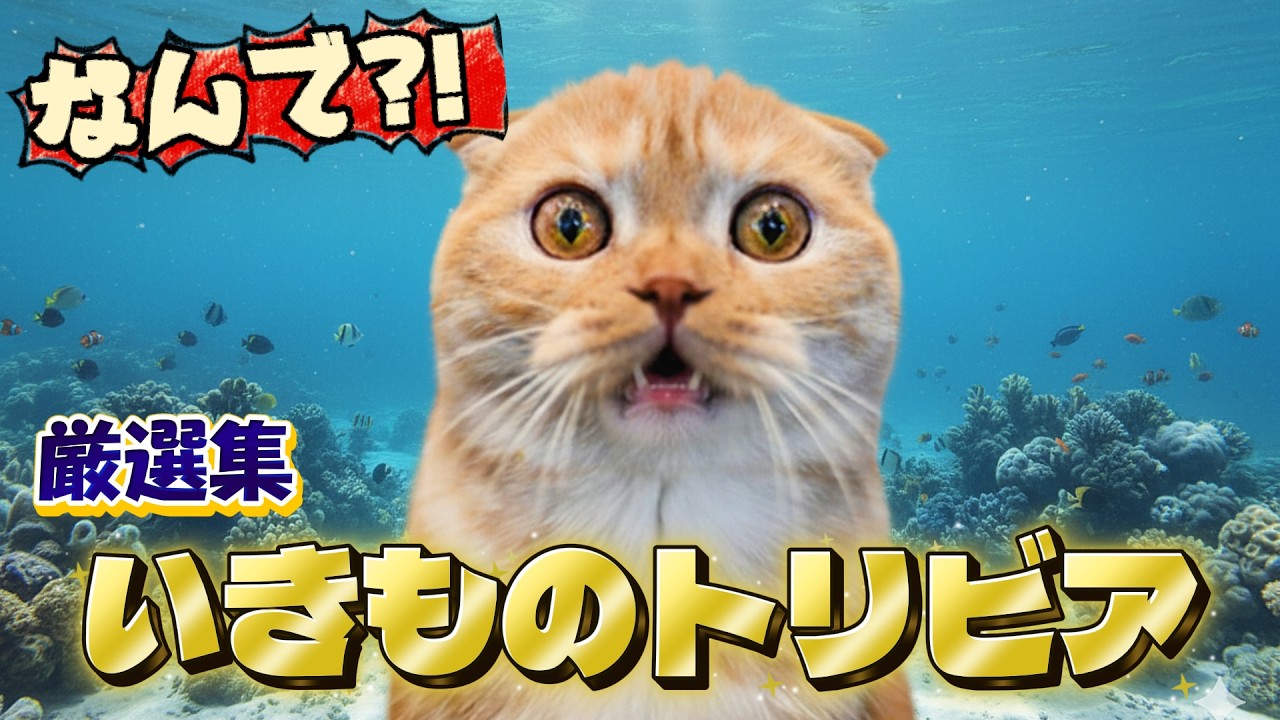 最高のムダ知識!ヘンテコ動物たちに“なんでそうなった!?”が止まらない!笑ってハマる生き物のトリビア