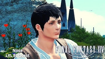 Ninja LVL 80 Job Quest