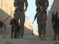 A day in the life of some military dogs and their handlers A day in the life of some military dogs and their handlers