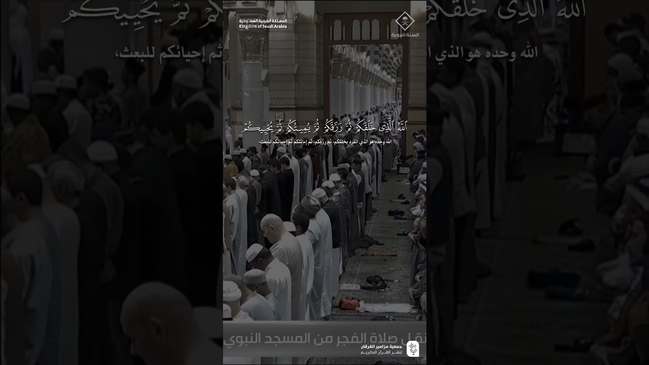 مقتطف من تلاوة فضيلة الشيخ #محمد_برهجيمن صلاة الفجر 20 جمادى الأولى 1447