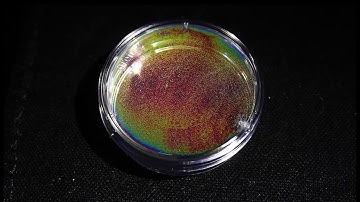 Snippet: New mechanism for producing iridescence uses only water