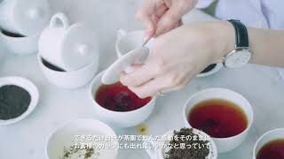 カレルチャペック紅茶店　コンセプトムービー