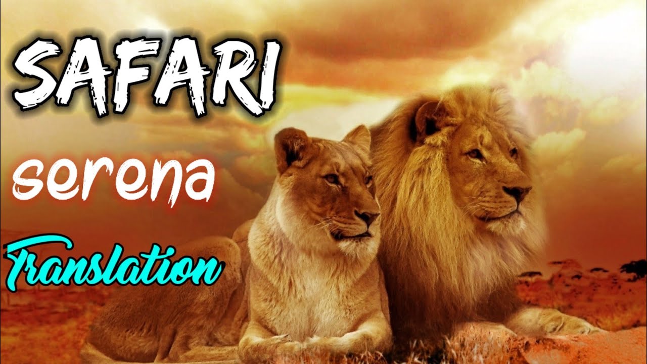 serena safari song lyrics in hindi