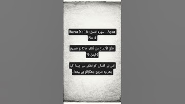 Surat No 16 : سورة النحل - Ayat No 4 #hijab #allahhuakbar