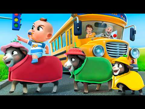 Baby Crying on the Bus! | Kids Songs by Almama