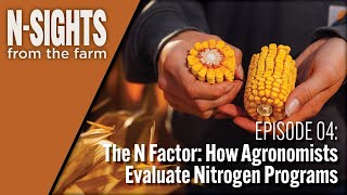 The N Factor: How Agronomists Evaluate Nitrogen Programs Wealth