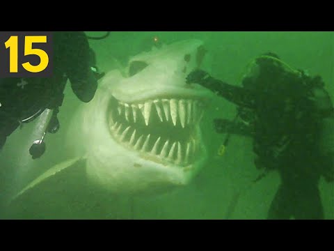 TOP 15 Strangest Things Found By Deep Sea Divers 