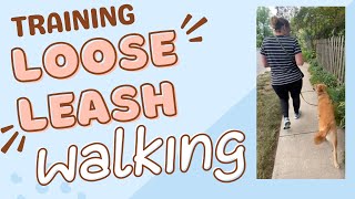 Loose Leash Walking | Real Time Coaching & Troubleshooting with Former Stay & Train Client Lenny by Pup to Perfection 264 views 9 months ago 22 minutes