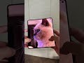 Would you buy this phone? Motorola Razr Fold FIFA World Cup 26TM Collection
