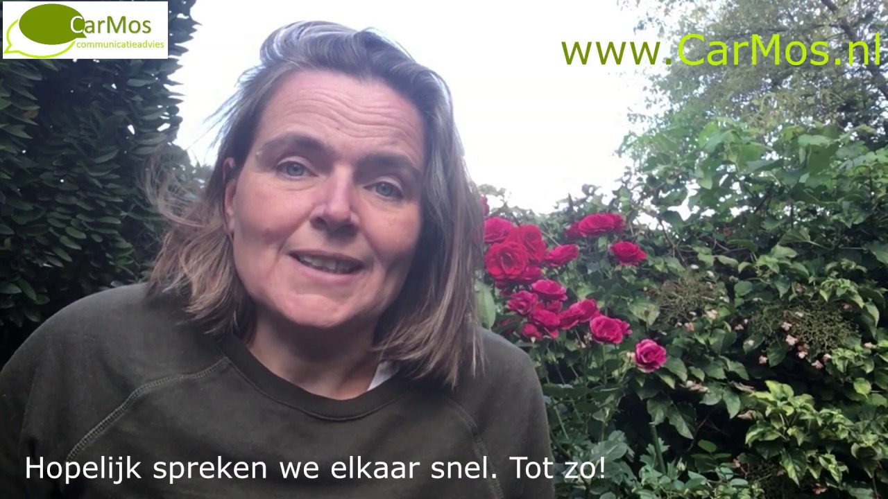 New Sociale media opzetten en up-to-date houden voor ZZP of klein MKB (met ondertiteling)