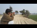 Long range bird hunting with air gun  dove quail pigeon migratory birds