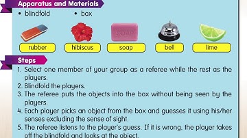 Science Year 3 Observing