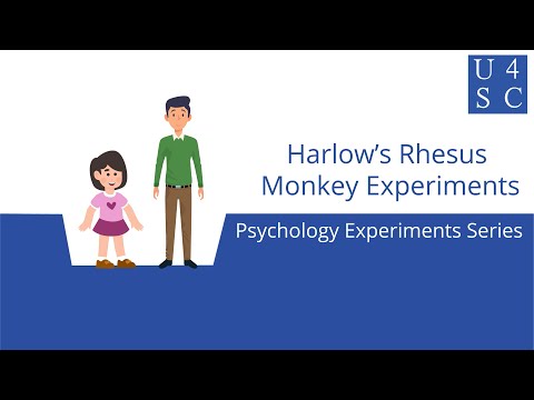 Video: Apa yang dibuktikan oleh eksperimen Harlow?