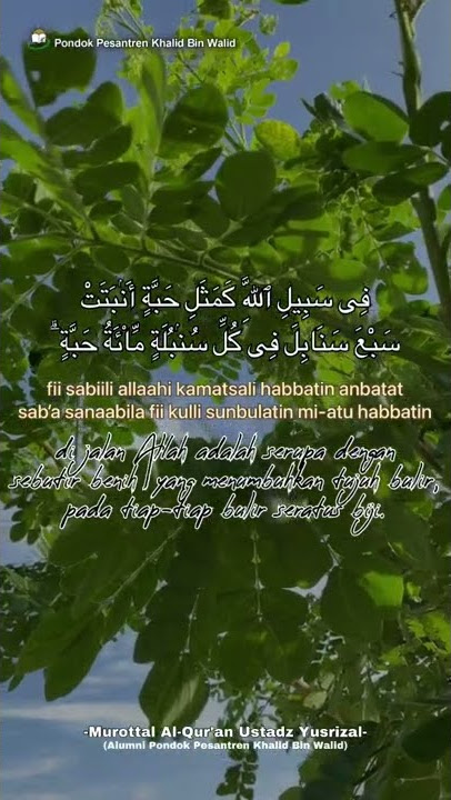 🍃Surat Al-Baqarah ayat 261 - Ustadz Yusrizal