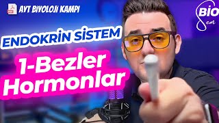 Endokrin Sistem-1 Bezler Ve Hormonlar Ayt Biyoloji Konu Anlatımı 11 Sınıf 2024