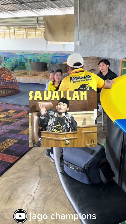 semangat penghobi ayam