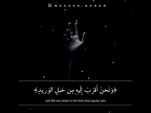 آيات قرآنية تهز القلوب تدمع العين وترجع النفس للصواب والحق مؤثرة جدا