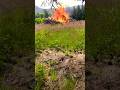 Huge burn 🔥 pile #fypシ゚viral #fire #oregon #oregoncoast