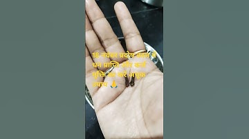 प्रदोष काल में लक्ष्मी प्राप्ति और कर्ज मुक्ति का करें अचूक उपाय #pradeepmishrakeupay #shivpuran