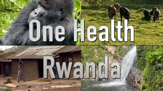 One Health Rwanda by Ravenswood Media 739 views 1 year ago 4 minutes, 21 seconds