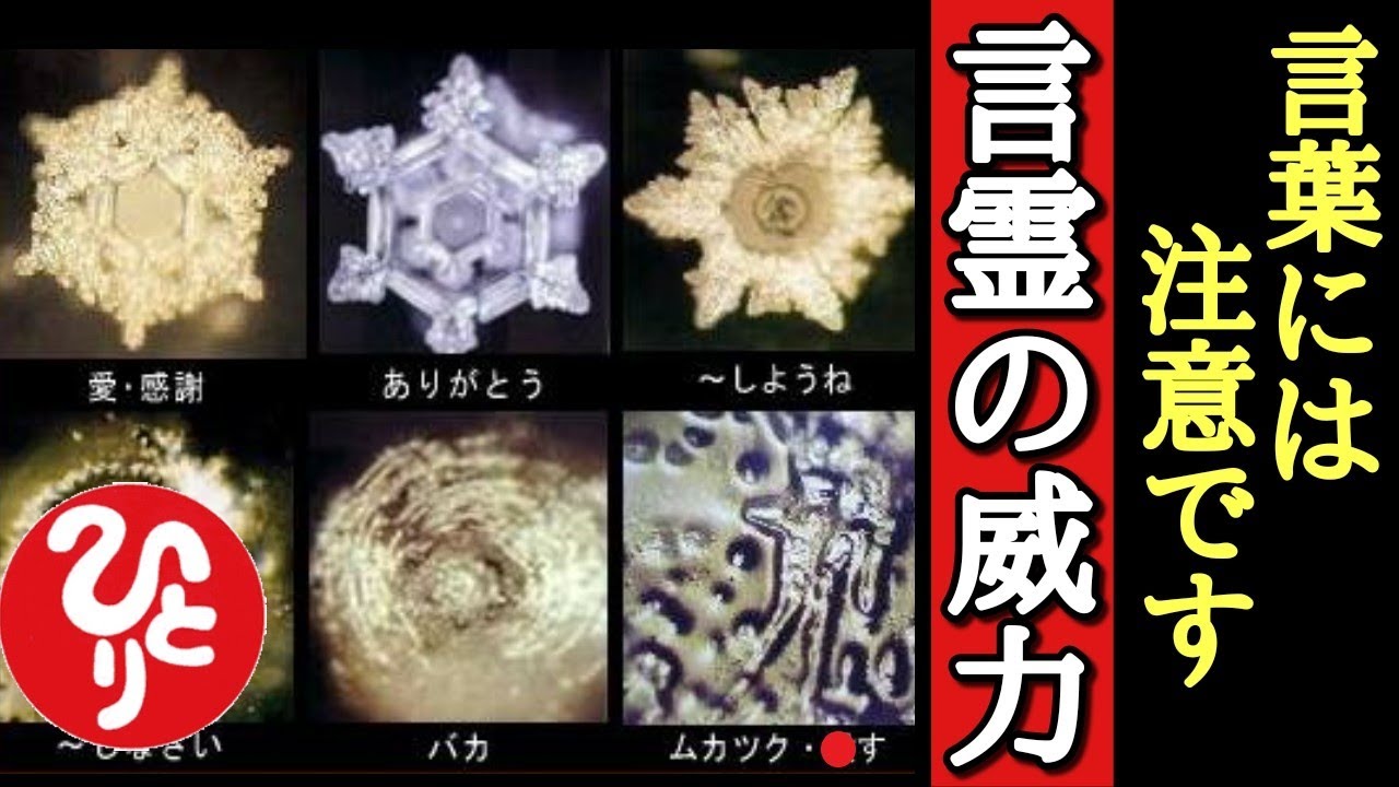 斎藤一人 実は言葉っていうのはね そのひと言が次を生むみます本当に言葉は大切なんですよ 良い事が次々に起こる言霊の威力 これが言葉 の法則です みんなで最高の波動を送りましょう 幸せ 占い 癒し Youtube 斎藤一人 実は言葉っていうのはね そのひと言が次を生むみます本当に言葉は大切なんですよ 良い事が次々に起こる言霊の威力 これが言葉 の法則です みんなで最高の波動を送りましょう 幸せ 占い 癒し Youtube