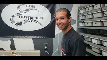 Clutch #5 First Time Ball Python Egg Cutting. Coral Glow Leopard Clown Het Albino x Albino