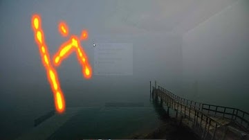 Ubuntu 9.10 + Compiz.