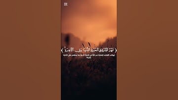 تلاوه خاشعه للقارئ محمد النقيب #تلاوة_خاشعة #quran #تلاوات #اكسبلور #لايك #دويتو #المصحف #حالات_واتس