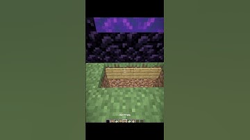 Minecraft Fake Nether Portal Moment