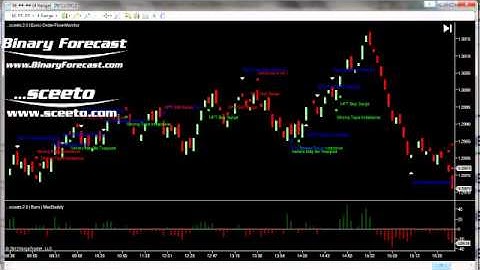 NinjaTrader Tape Reading Forex Daily Report 29th Nov 2012 Euro USD