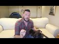 Boxer Dog Review の動画、YouTube動画。
