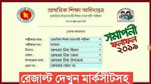 Psc Result 2019| Psc রেজাল্ট দেখুন মার্কসীটসহ মোবাইলে | How To Get Psc Result with Marksheet 2019 |