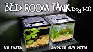 I set up two tanks in my bedroom!