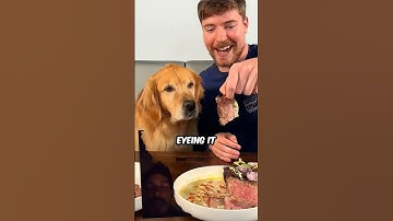 #shorts He’s bully-proof #funny #viral #family #fypシ #shorts