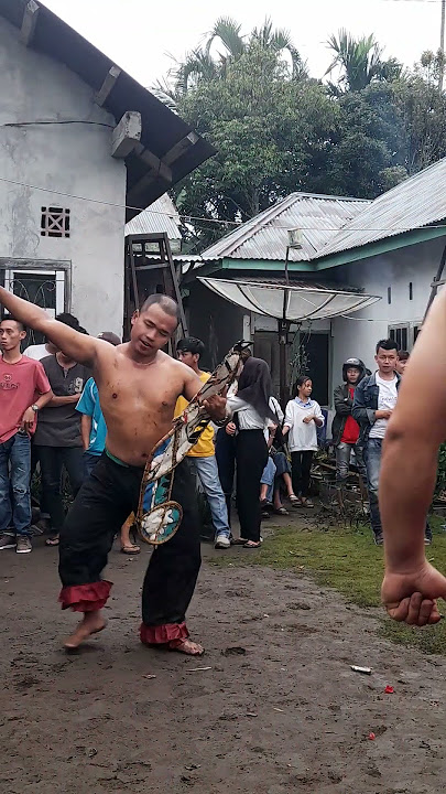 AKSI ANAK WAYANG KUDA KEPANG WIJI GUNA