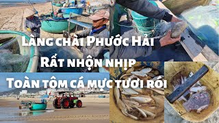 Trải nghiệm du lịch làng chài Phước Hải Vũng Tàu từ A – Z