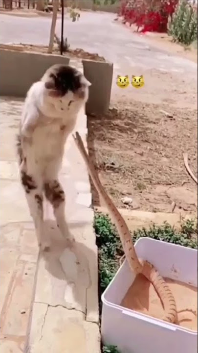 Waoo❤️🥰