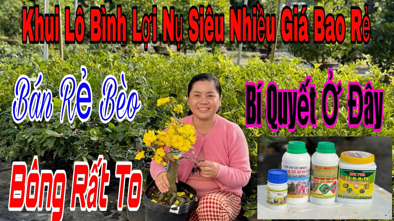 16/1 Vườn Tiếp Tục xả giá siêu rẻ 💥🌲🌲nhiều mã Số Đẹp củ đế vip 🌲🌲🌲☎️0967722961
