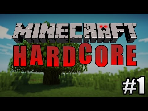 დავიწყეთ Hardcore და თითქმის მოვიხოდე N1 #minecrafthardcormode