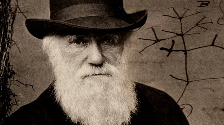 Darwin's Missing Notebooks Returned