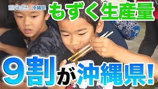 海DO宝 ～「もずくの日」イベント～ 日本財団 海と日本PROJECT in 沖縄県 2019 #05
