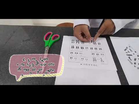 Video: Apakah tujuan karyotype?