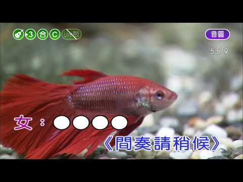 無言的結局~羅時豐&林淑容~合C調~伴奏~導唱丙
