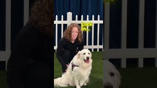 UMB Challenge for a women and his dog 🐕 dog win 10000$ for his onwer