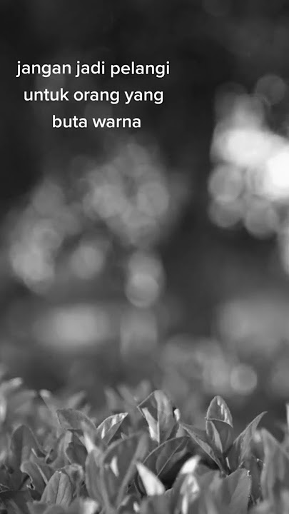 Jangan Jadi Pelangi Untuk Orang Yang Buta Warna #shorts #short